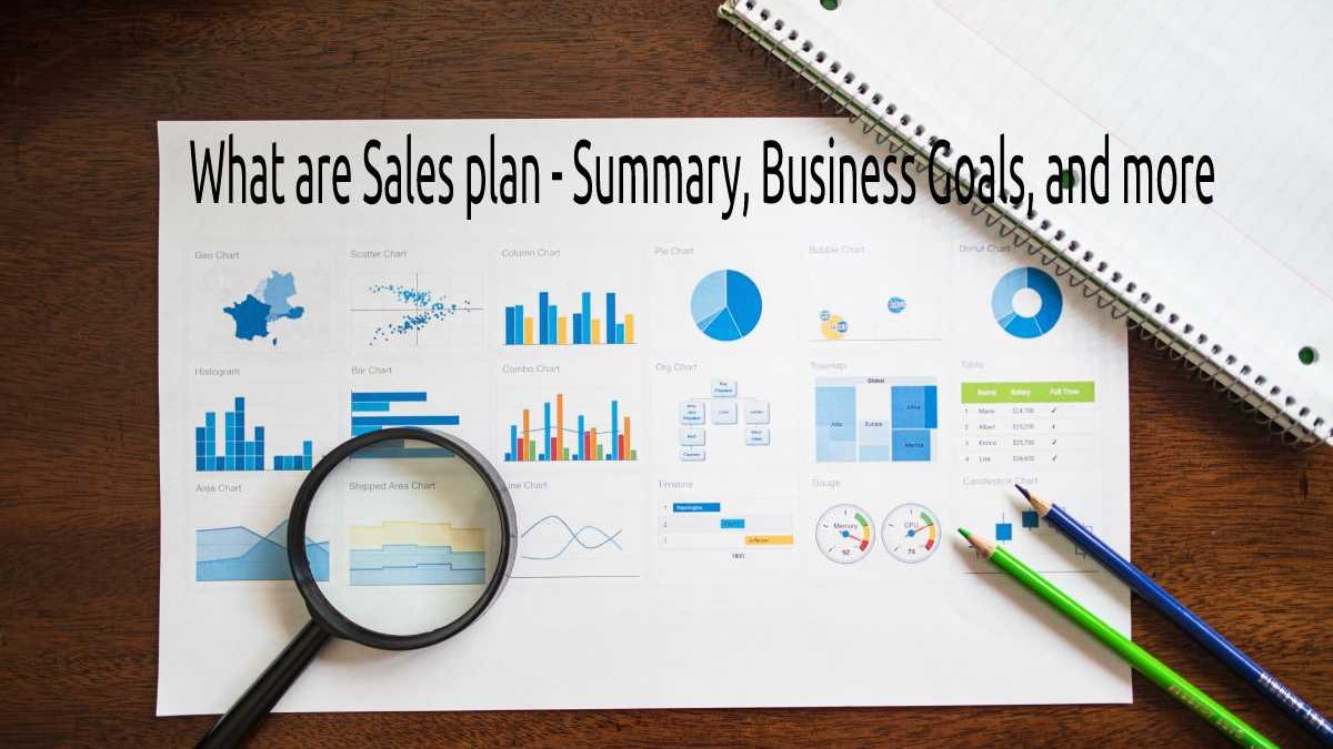 What are Sales plan – Summary, Business Goals, and more