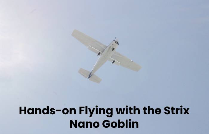 What is Nano Goblin_ – Introducing, The Strix, And More (2)