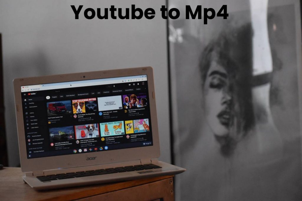 Youtube to Mp4 - 5 Easy Customs to Convert YouTube Videos