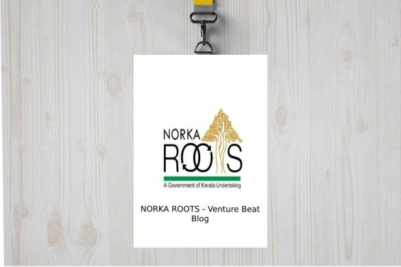 Norka Roots