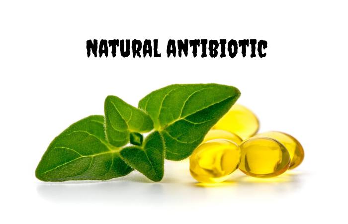 Natural antibiotic