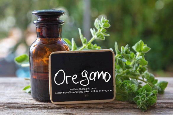 health-benefits-and-side-effects-of-oil-of-oregano