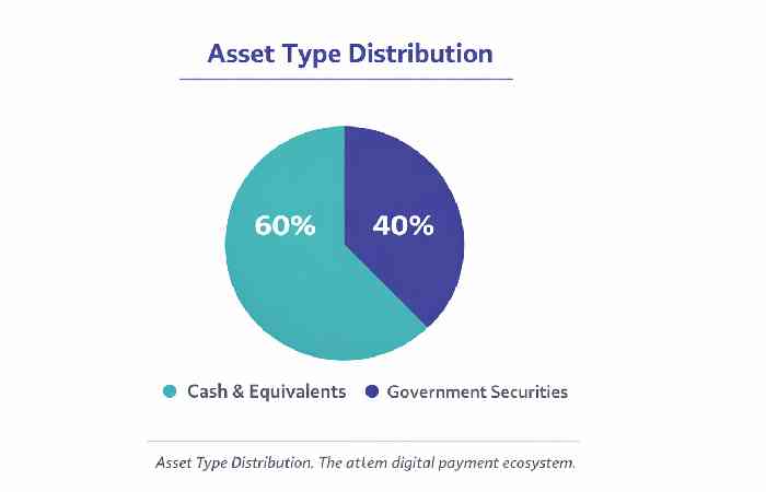 stablecoin-backed digital asset